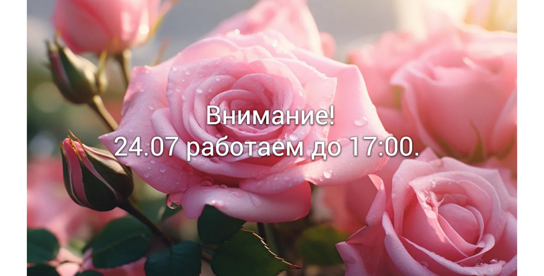 main-banner2